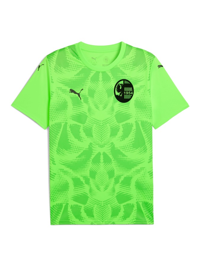 PUMA teamULTIMATE Trikot