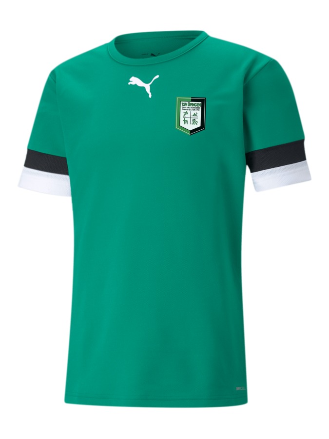 PUMA teamRISE Trikot