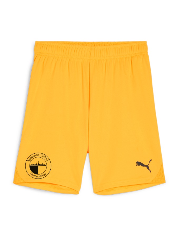 PUMA teamGOAL Shorts