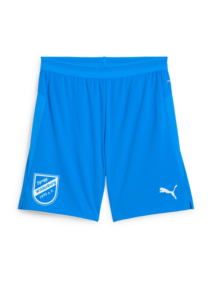 PUMA teamCUP Shorts