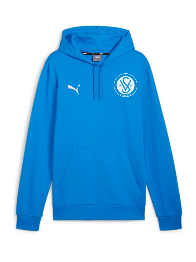 PUMA teamGOAL Casuals Hoody