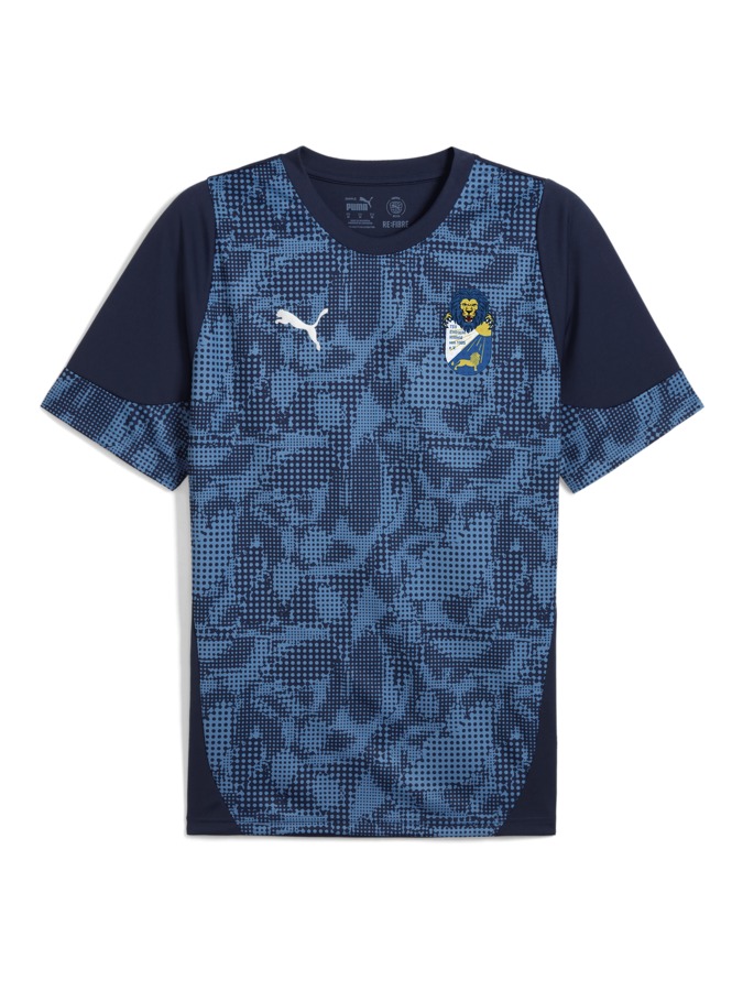 PUMA teamCUP Trainingsshirt