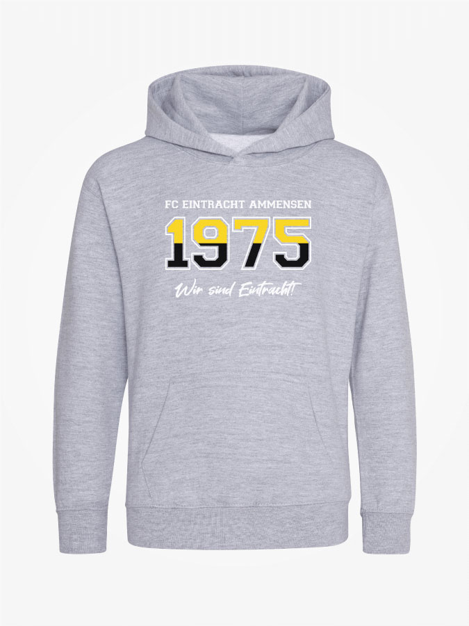 Hoodie Established Kids