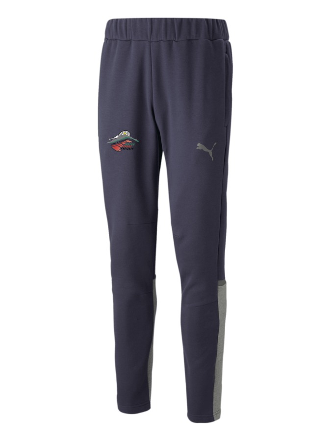 PUMA teamCUP Casuals Hose