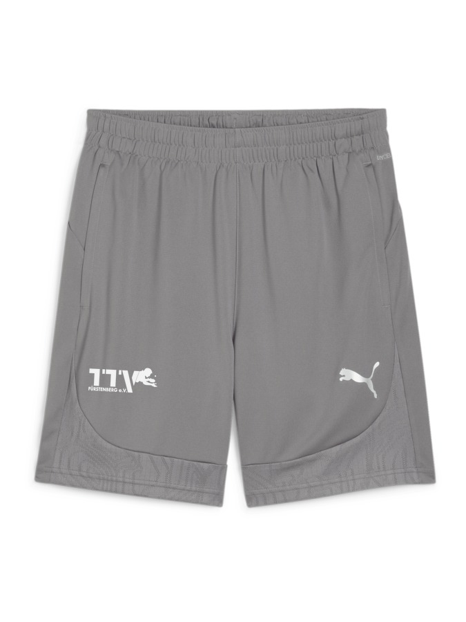 PUMA teamFINAL Training Shorts