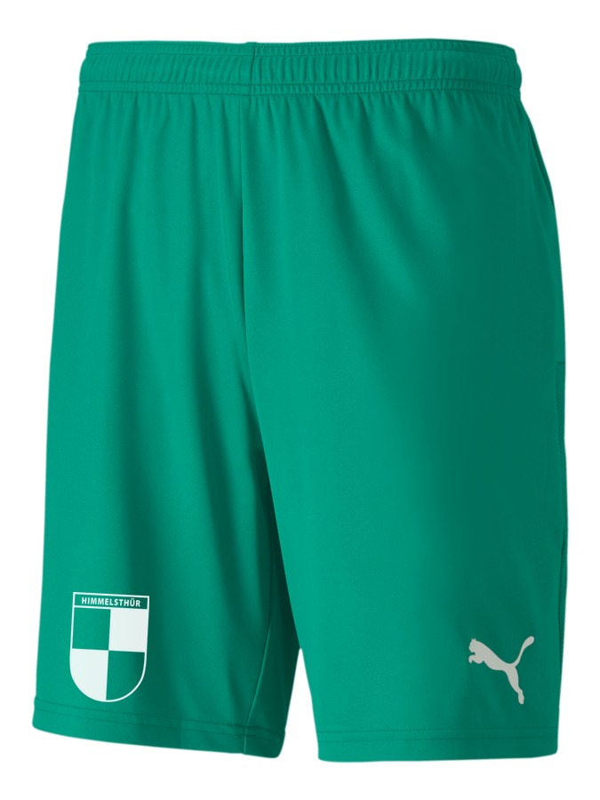PUMA teamGOAL 23 Knit Shorts