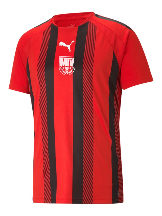 PUMA teamLIGA Striped Trikot