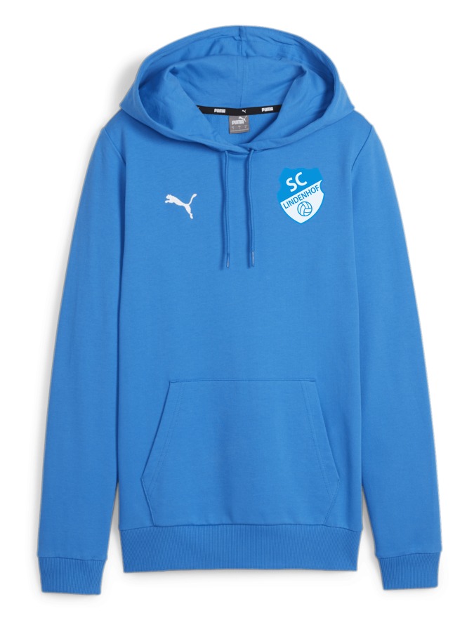 PUMA teamGOAL Casuals Hoody Damen