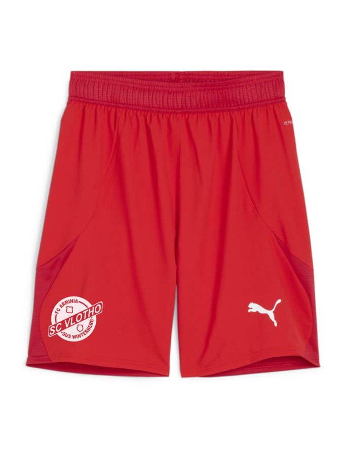 PUMA teamFINAL Shorts