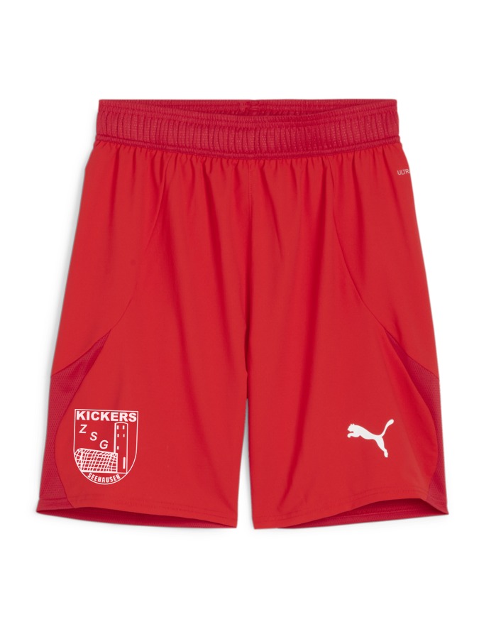 PUMA teamFINAL Shorts