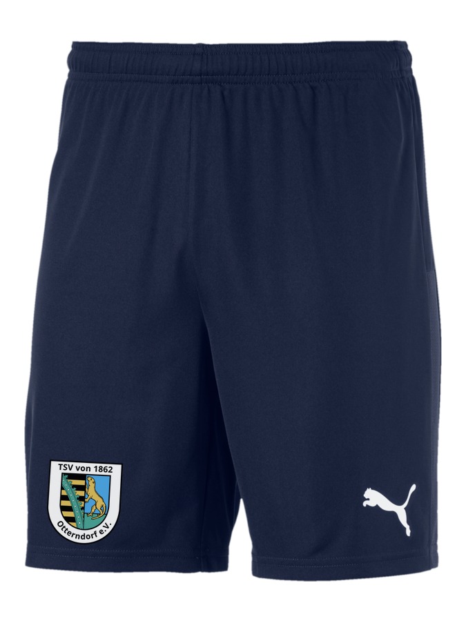 PUMA teamGOAL 23 Knit Shorts