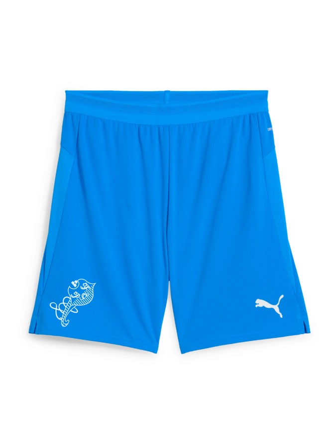 PUMA teamCUP Shorts