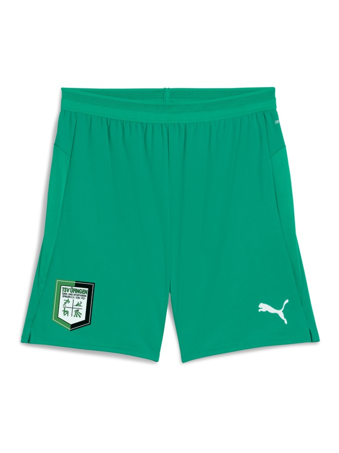 PUMA teamCUP Shorts