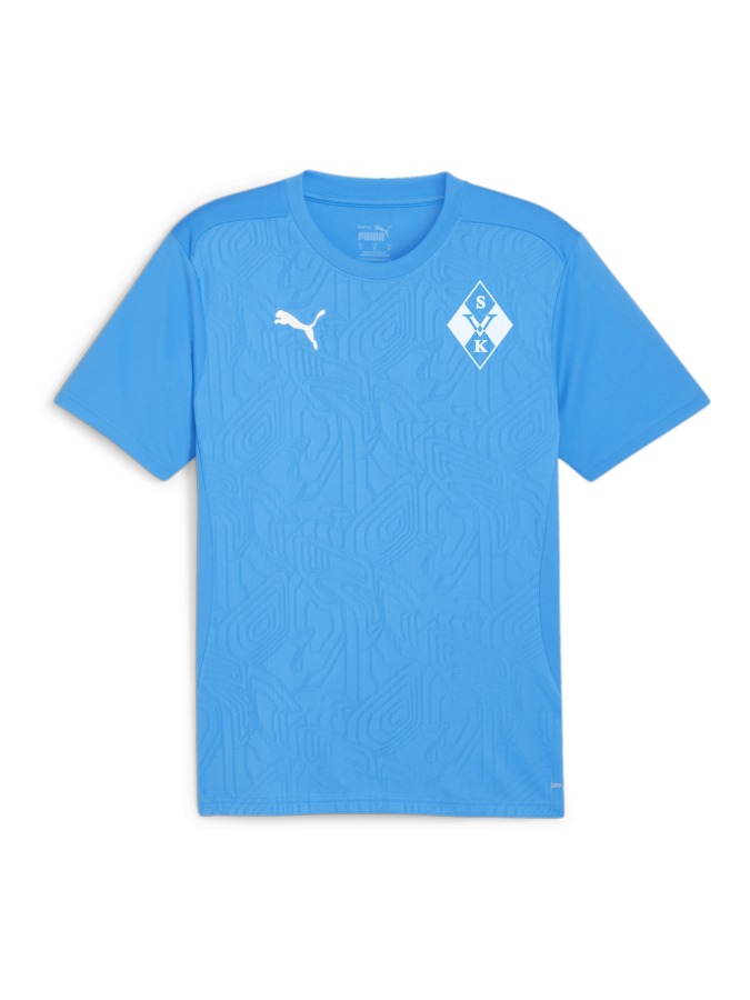 PUMA teamFINAL Trainingsshirt