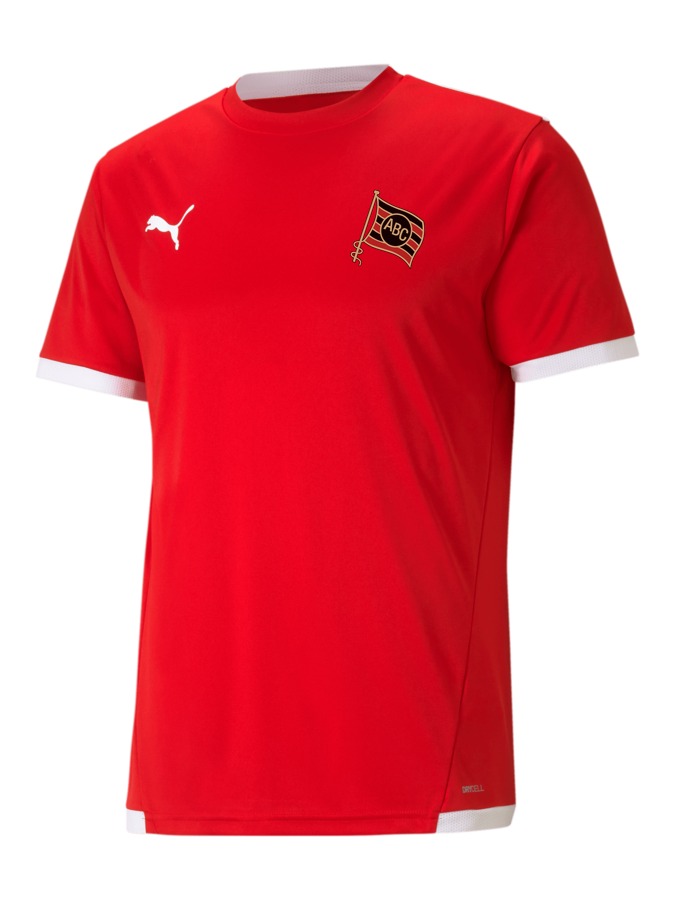 PUMA teamLIGA Trikot
