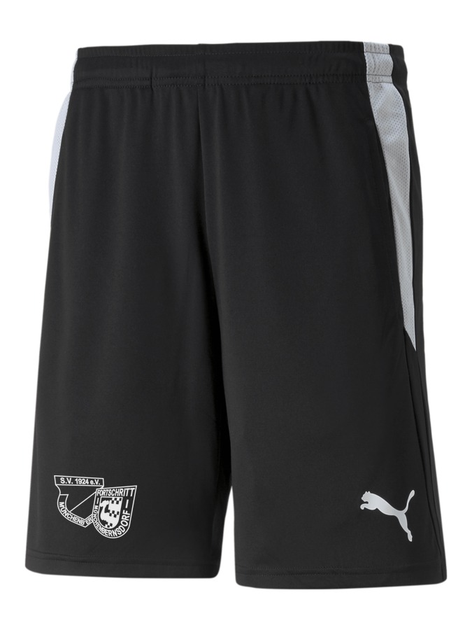 PUMA teamLIGA Referee Shorts