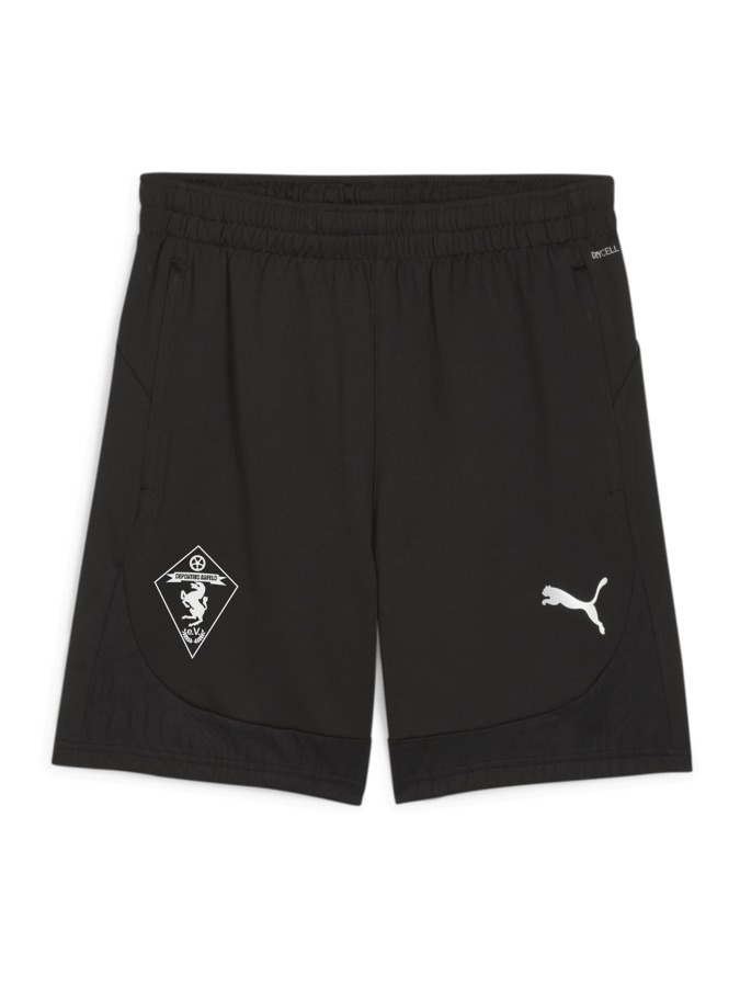 PUMA teamFINAL Training Shorts