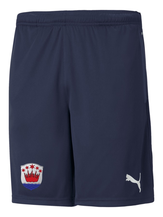 PUMA teamRISE Training Shorts