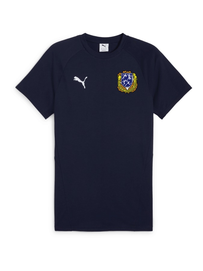 PUMA teamEVOSTRIPE T-Shirt