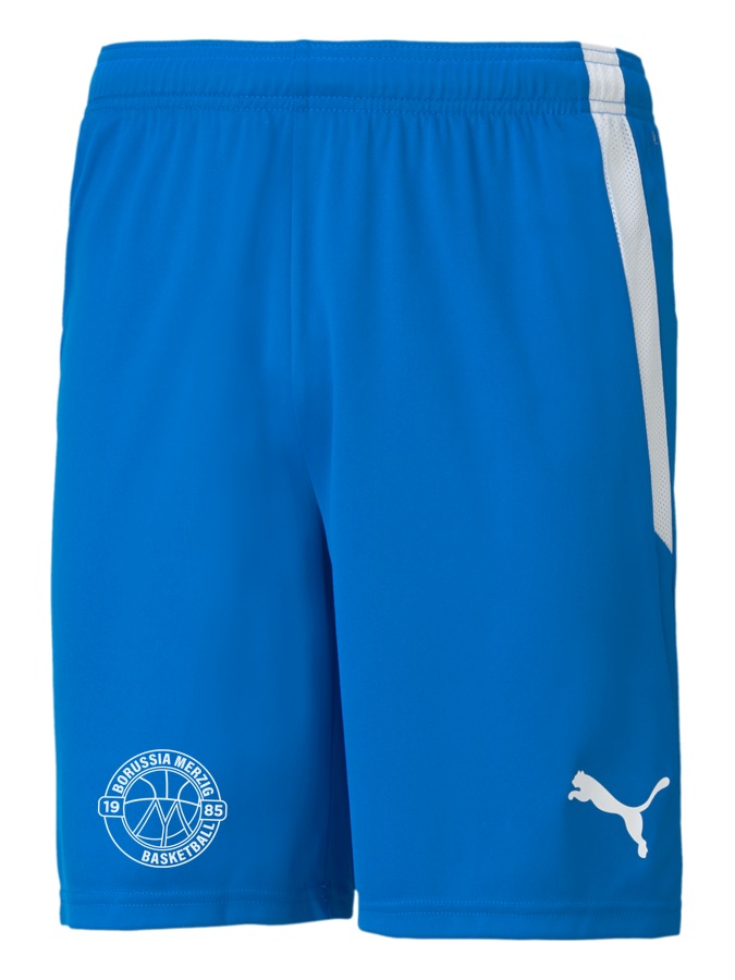 PUMA teamLIGA Shorts