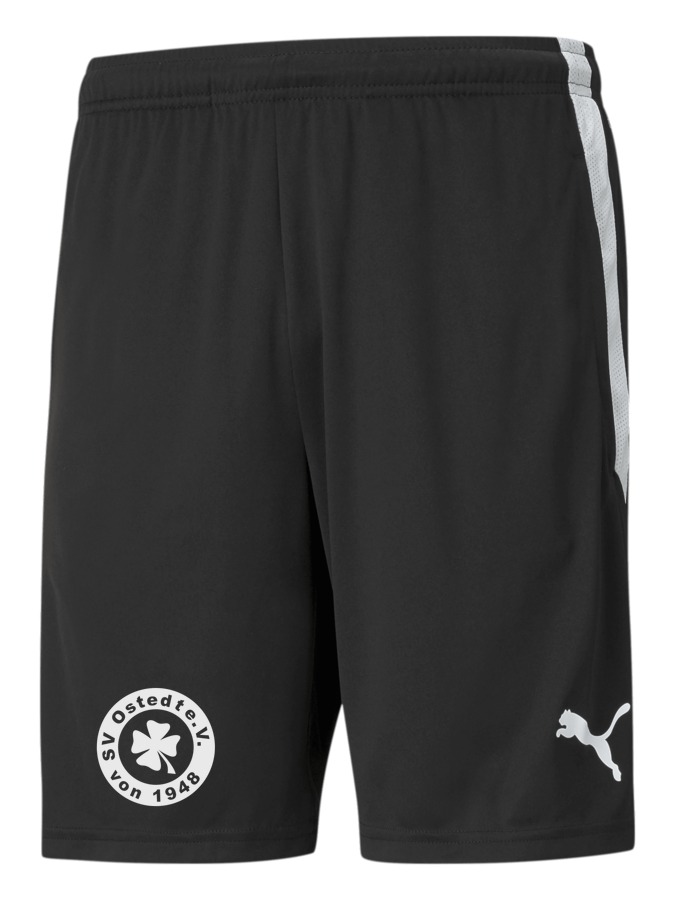 PUMA teamLIGA Training Shorts
