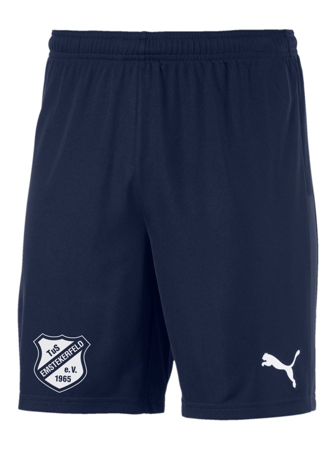 PUMA teamGOAL 23 Knit Shorts
