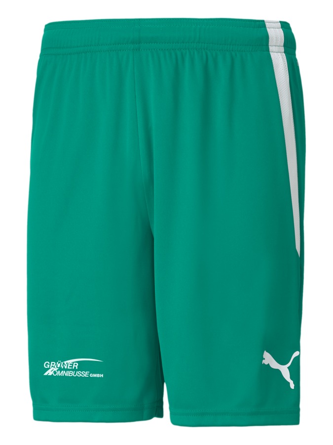 PUMA teamLIGA Shorts
