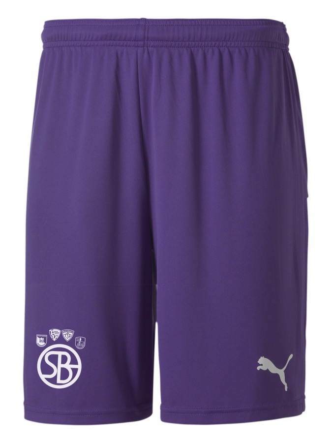 PUMA teamGOAL 23 Knit Shorts