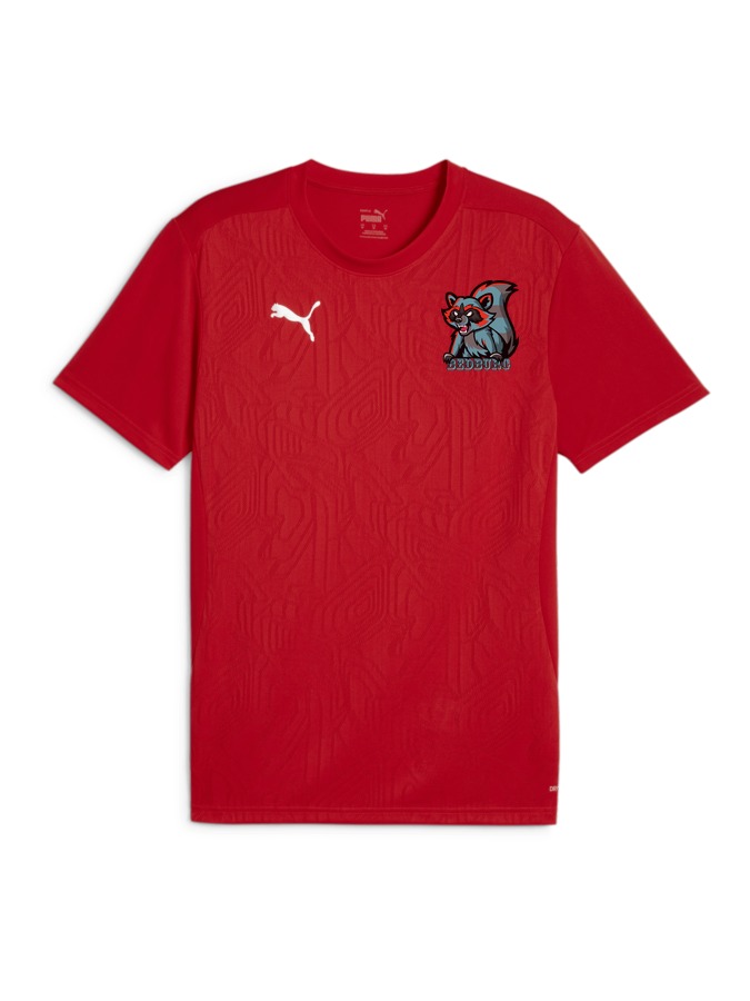 PUMA teamFINAL Trainingsshirt