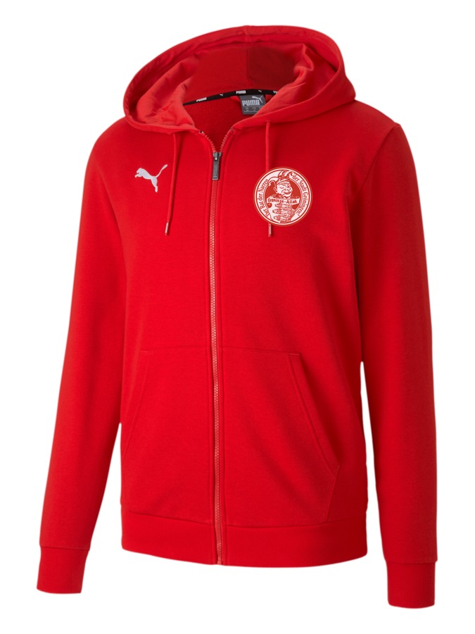 PUMA teamGOAL 23 Casuals Kapuzenjacke