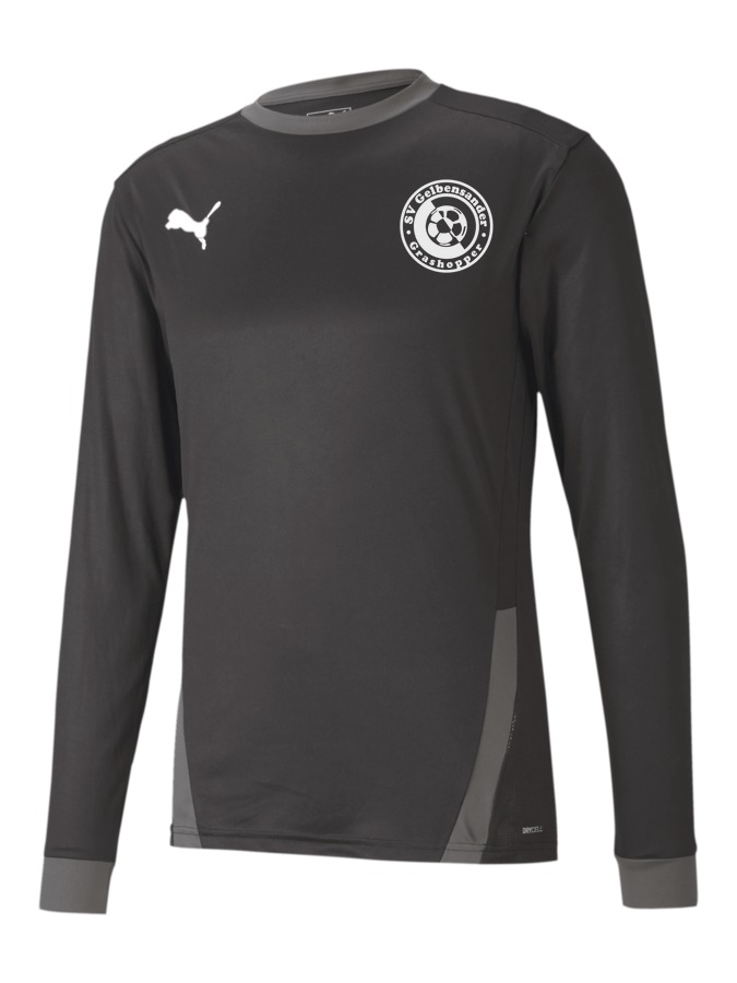 PUMA teamGOAL 23 Longsleeve
