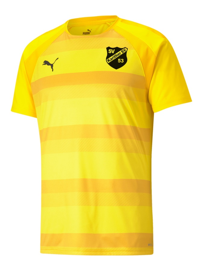 PUMA teamVISION Trikot