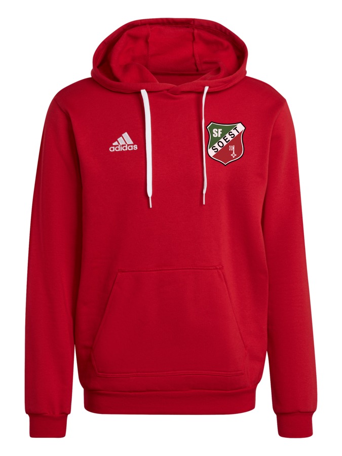 adidas Entrada 22 Hoodie