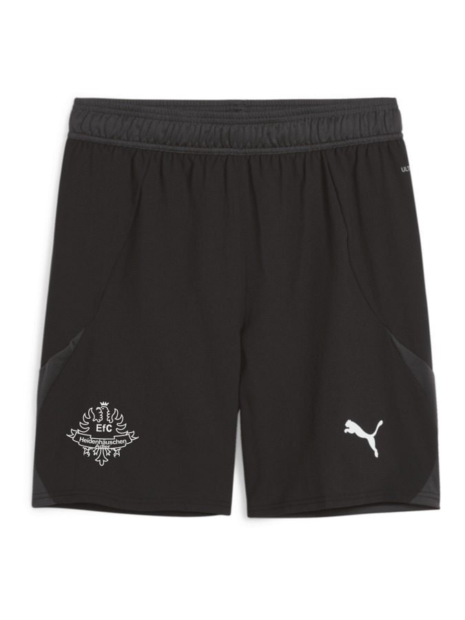 PUMA teamFINAL Shorts