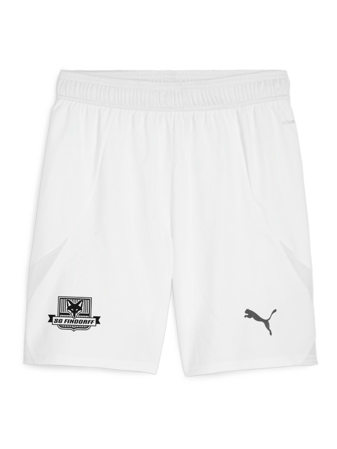 PUMA teamFINAL Shorts