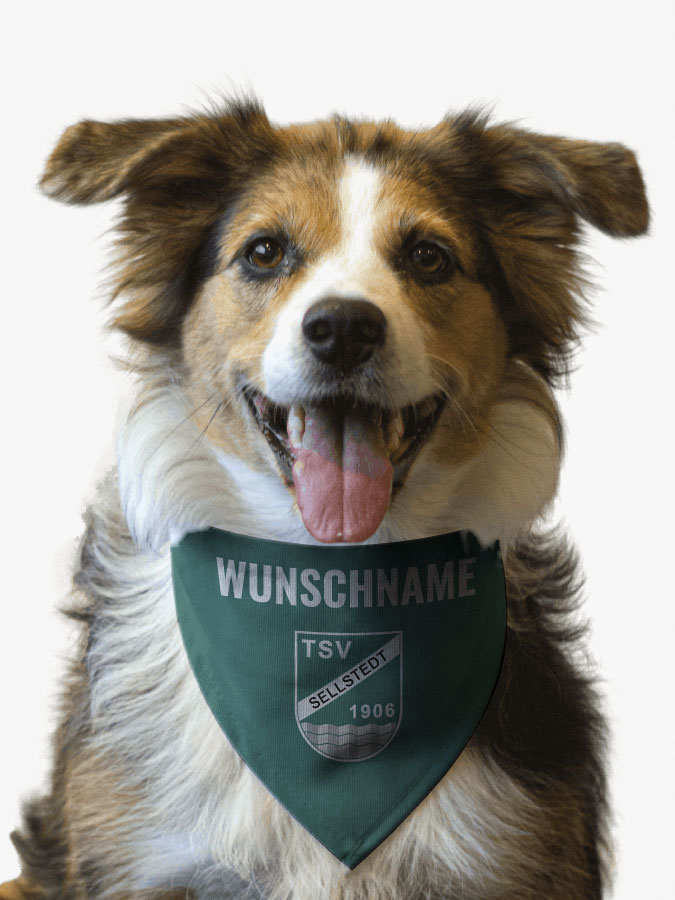 Hundehalstuch
