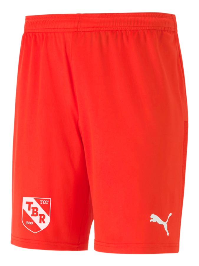 PUMA teamGOAL 23 Knit Shorts