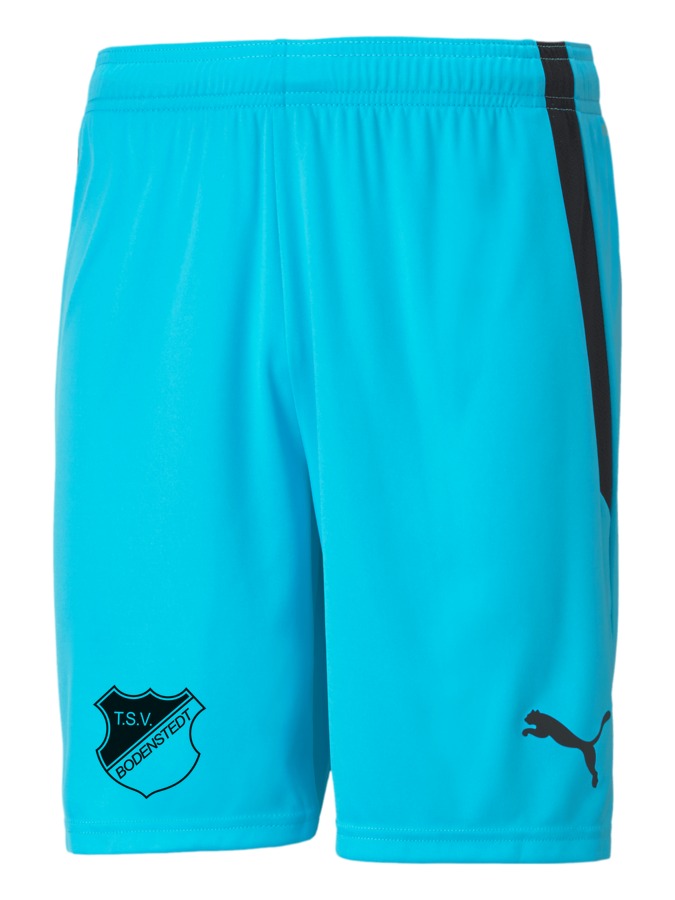PUMA teamLIGA Shorts
