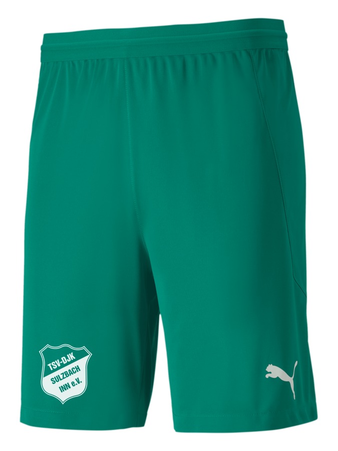PUMA teamFINAL 21 Knit Shorts