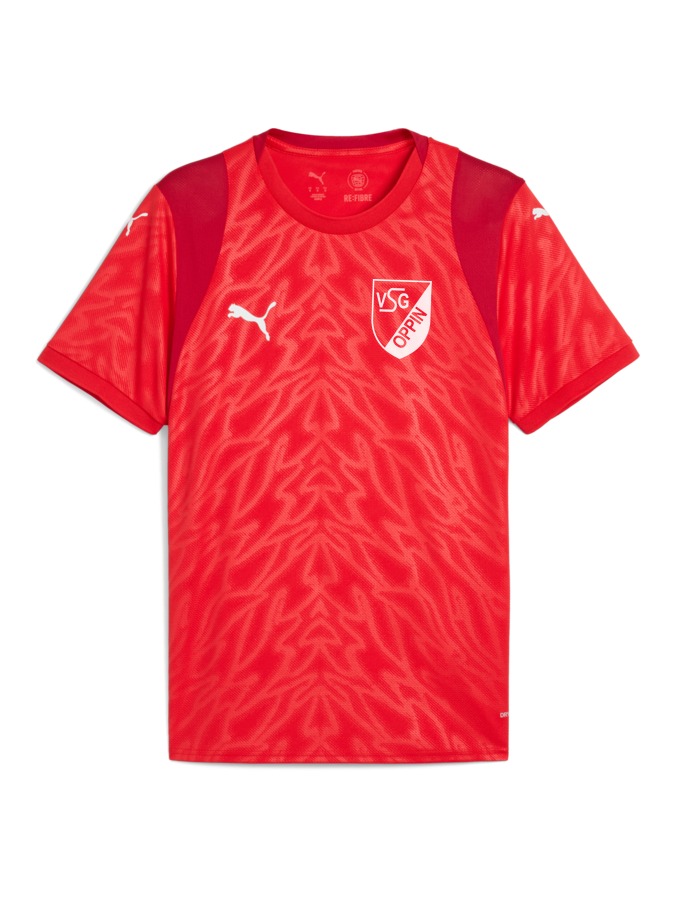 PUMA teamCUP Trikot