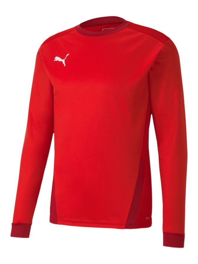 PUMA teamGOAL 23 Longsleeve