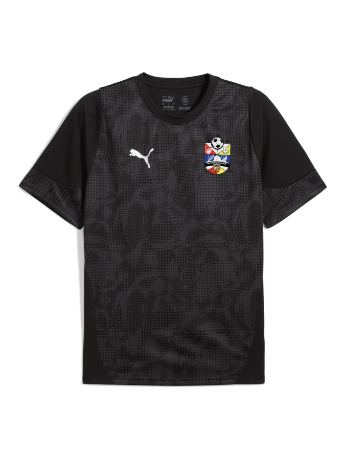 PUMA teamCUP Trainingsshirt