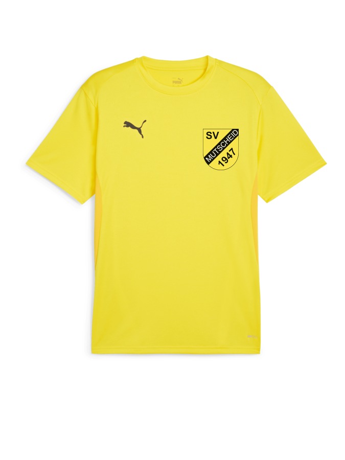 PUMA teamGOAL Trikot