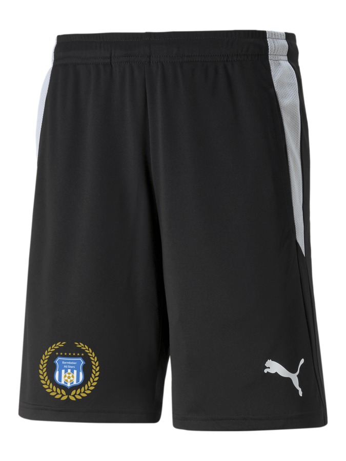 PUMA teamLIGA Referee Shorts