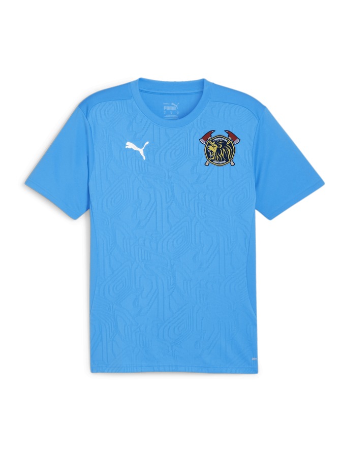 PUMA teamFINAL Trainingsshirt