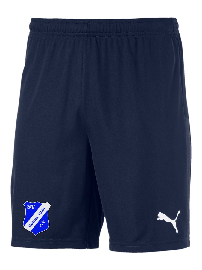 PUMA teamGOAL 23 Knit Shorts