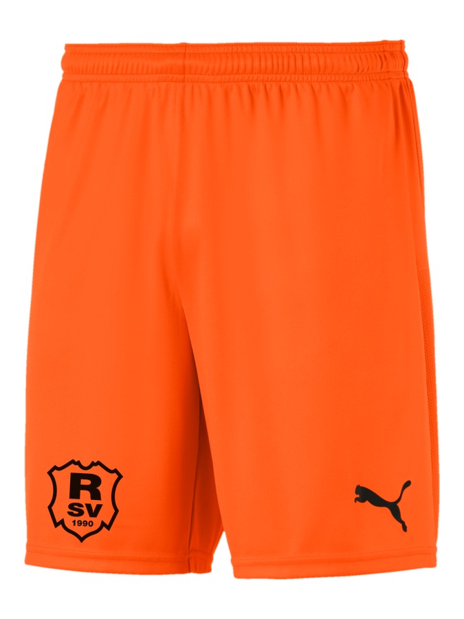 PUMA teamGOAL 23 Knit Shorts
