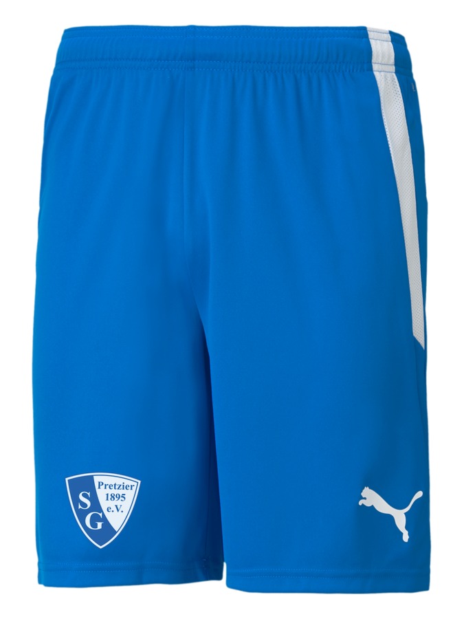 PUMA teamLIGA Shorts