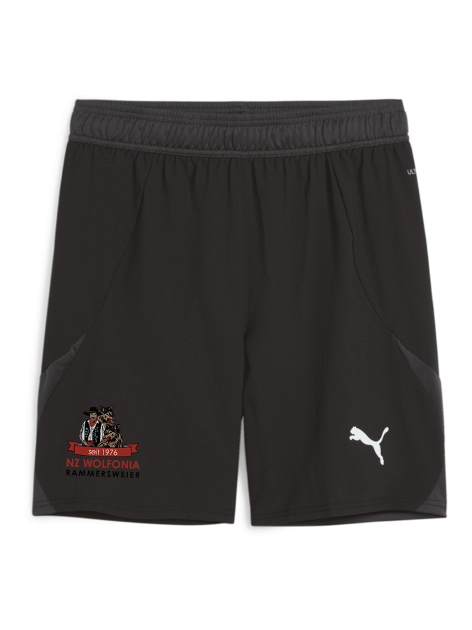 PUMA teamFINAL Shorts