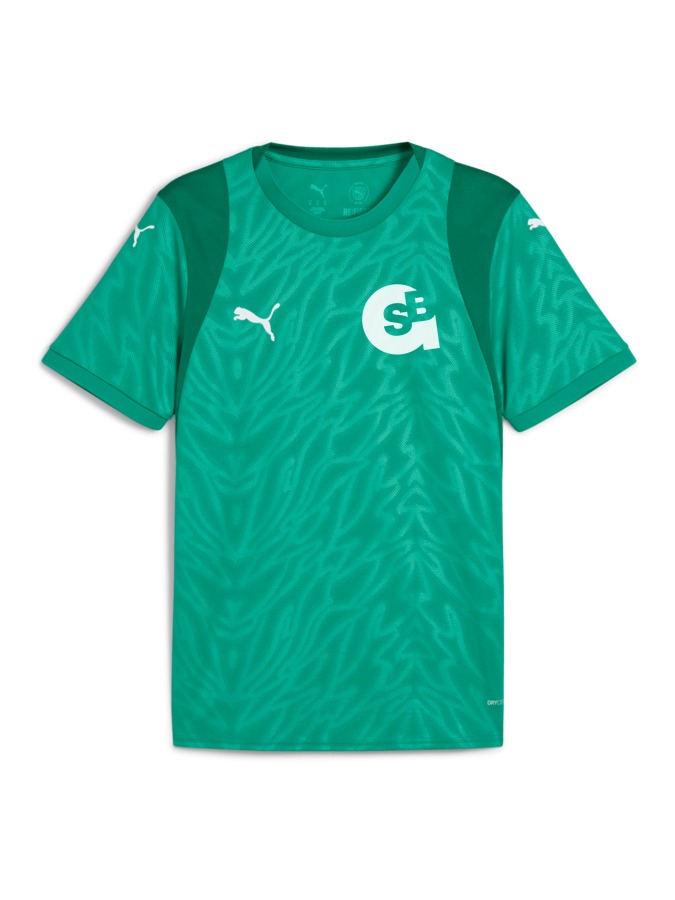 PUMA teamCUP Trikot